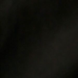 Meet your Posher, Izzat